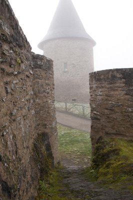 DSC_4464