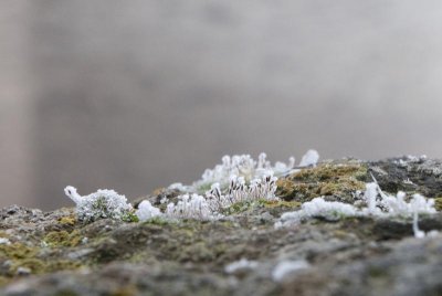 DSC_4576