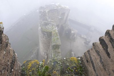 DSC_4593