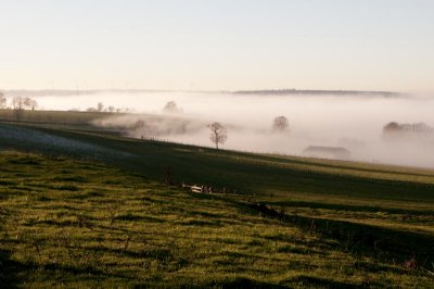 DSC_4696