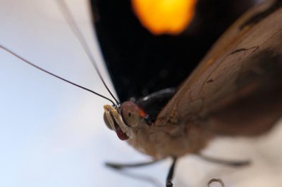 _DSC5449