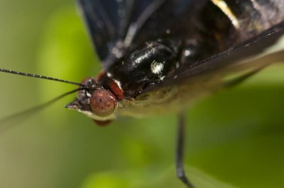 _DSC5506