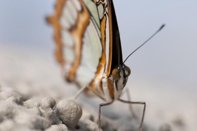 _DSC5467