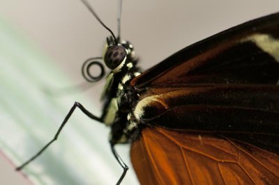 _DSC5592