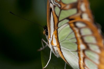 _DSC5434