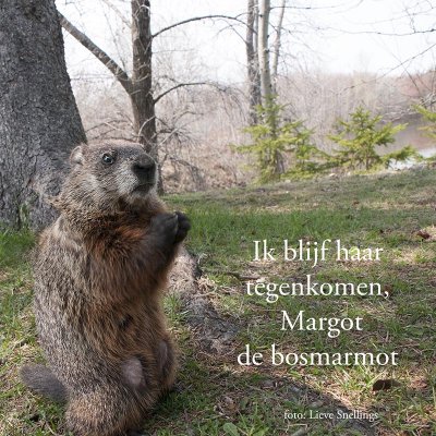 ik blijf haar tegen komen, Margot de bosmarmot