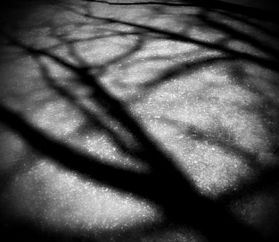 Shadows Abstract