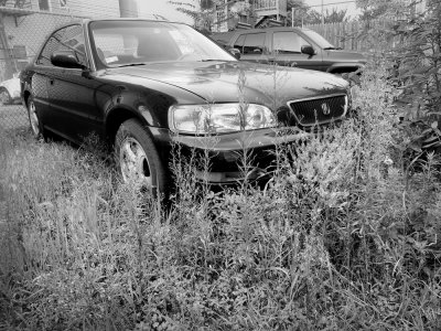 Car in weeds_BW_ZS3.jpg