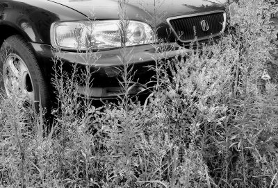 Car in weeds_BW_DETAIL.jpg