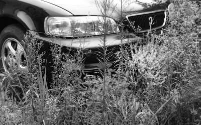 Car in weeds BW_SDIM0874_DETAIL.jpg