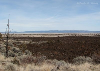 Tule Lake lava field