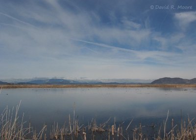 Lower Klamath Lake