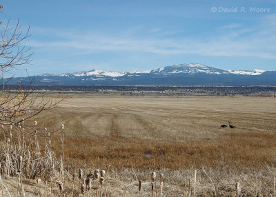 Modoc NWR