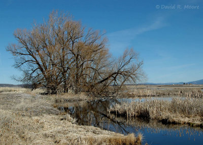Modoc NWR