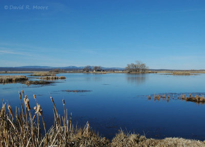 Modoc NWR