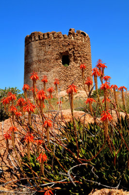  Aragonese  tower