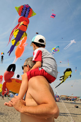 family Cervia