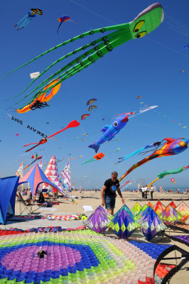 all in flight Cervia