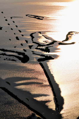 aerial view of Venice lagoon