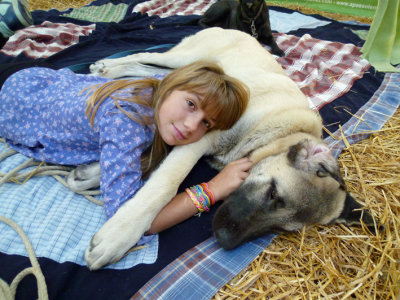 my favorite pillow