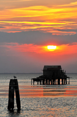 lagoon  Pellestrina 