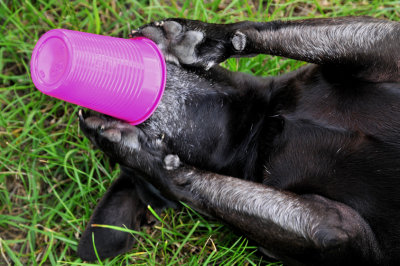 drunk in the park
