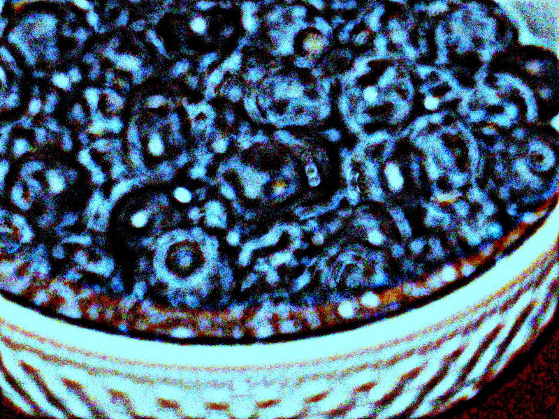 Blueberries