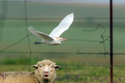 Landingsplaats gezocht