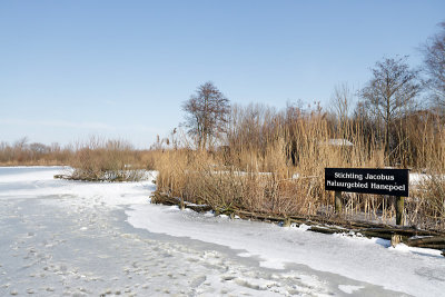 Winter 2012