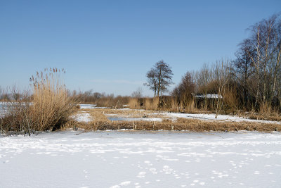 IMG_4775.jpg