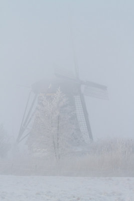 IMG_4667.jpg