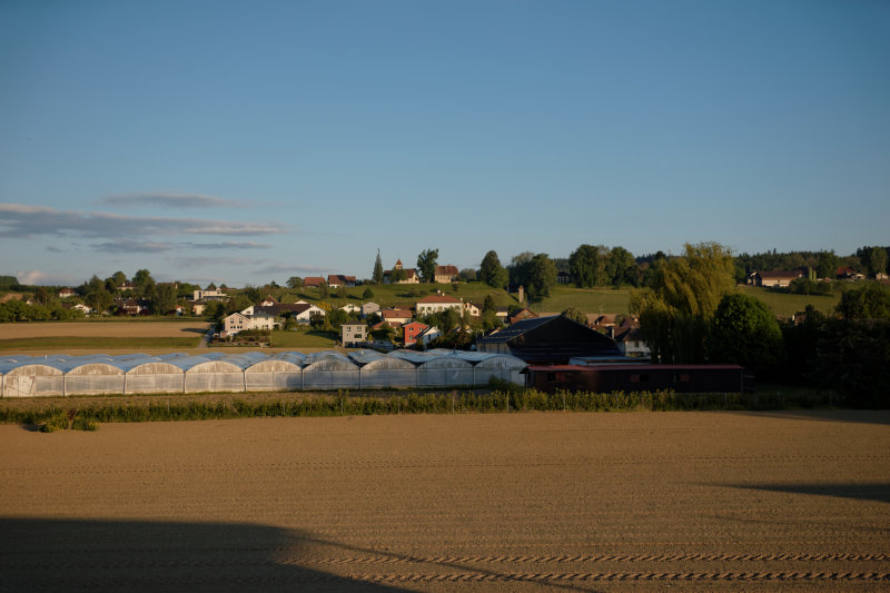DSC00354_DxO.jpg