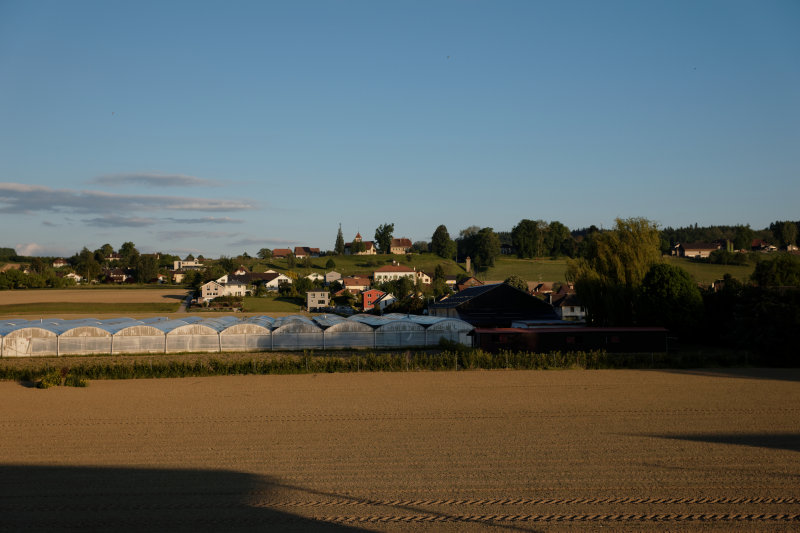 DSC00355_DxO.jpg