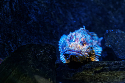 DSC07349_DxO.jpg
