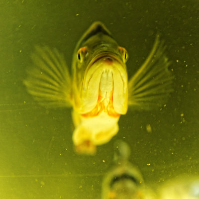 DSC07378_DxO.jpg