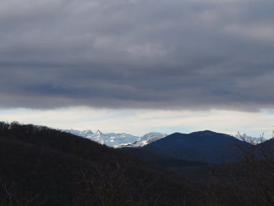 IMG_5617.jpg