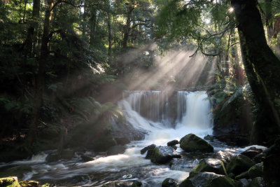 Mount Field National Park_7144