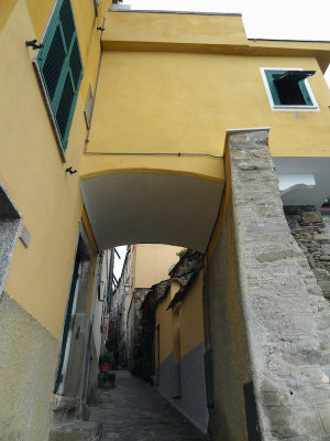 DSC04252.jpg