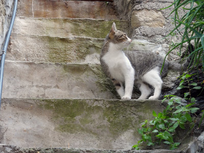 DSC04255.jpg