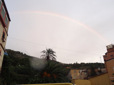 DSC04335.jpg