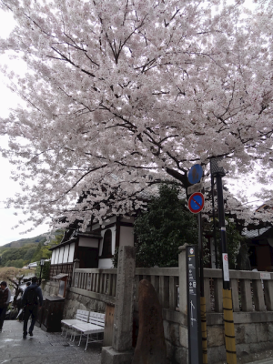 DSC05117.png
