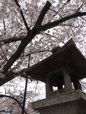 DSC05130.png