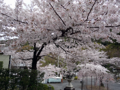 DSC05136.png
