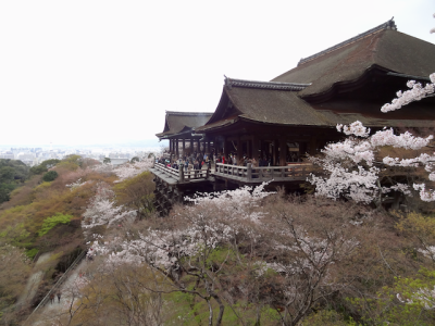 DSC05144.png