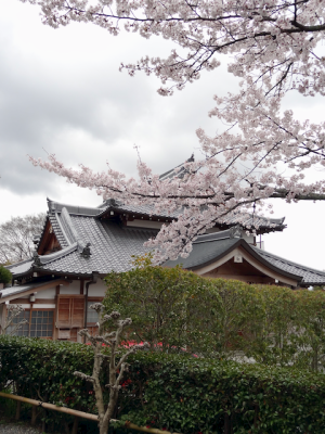 DSC05167.png