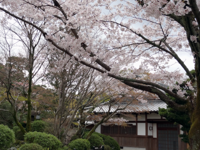 DSC05169.png