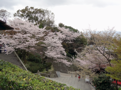 DSC05174.png