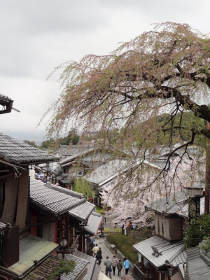 DSC05176.png