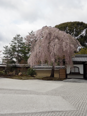 DSC05193.png