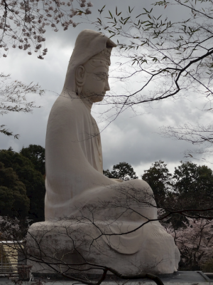 DSC05197.png